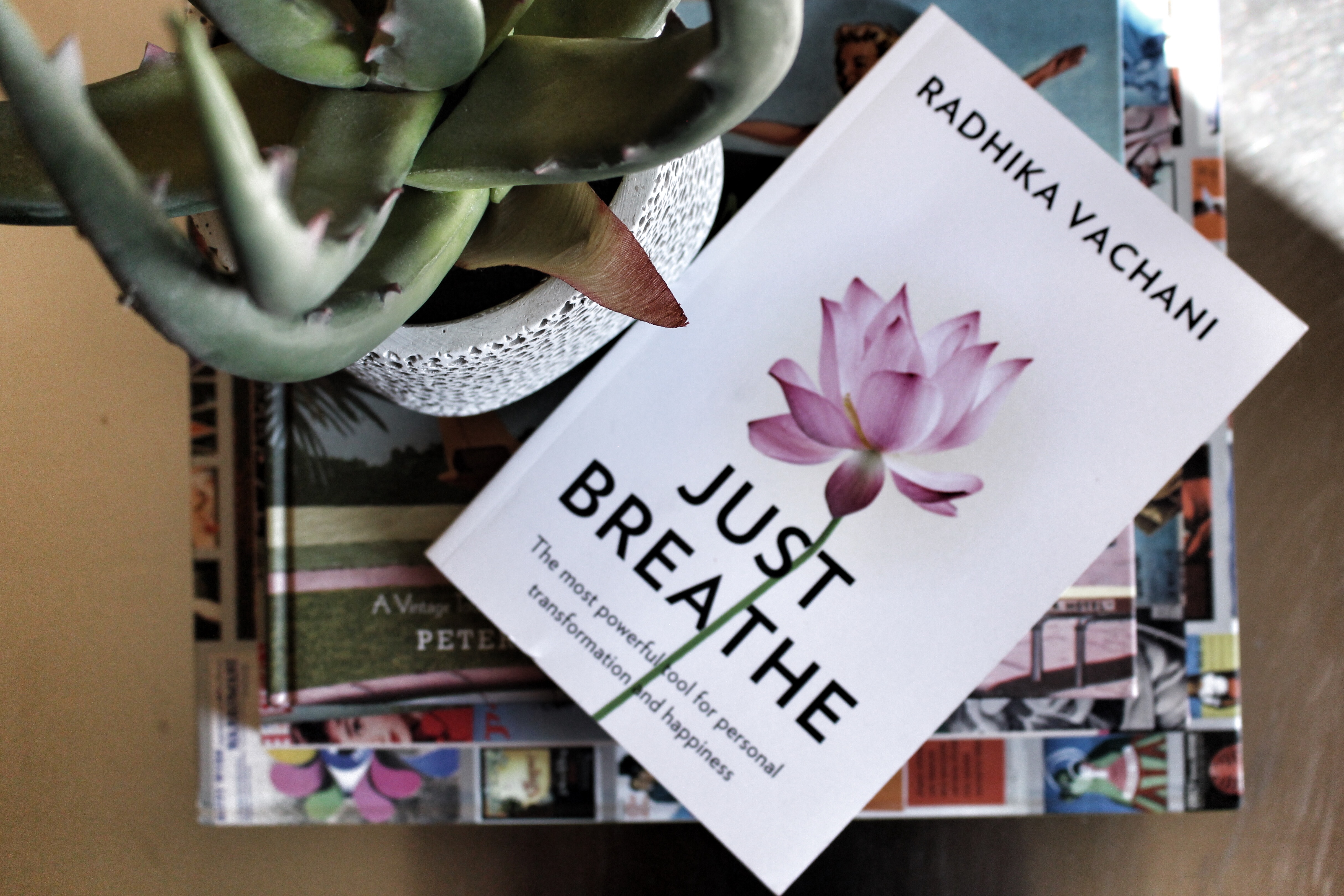 Just Breathe Radhika Vachani
