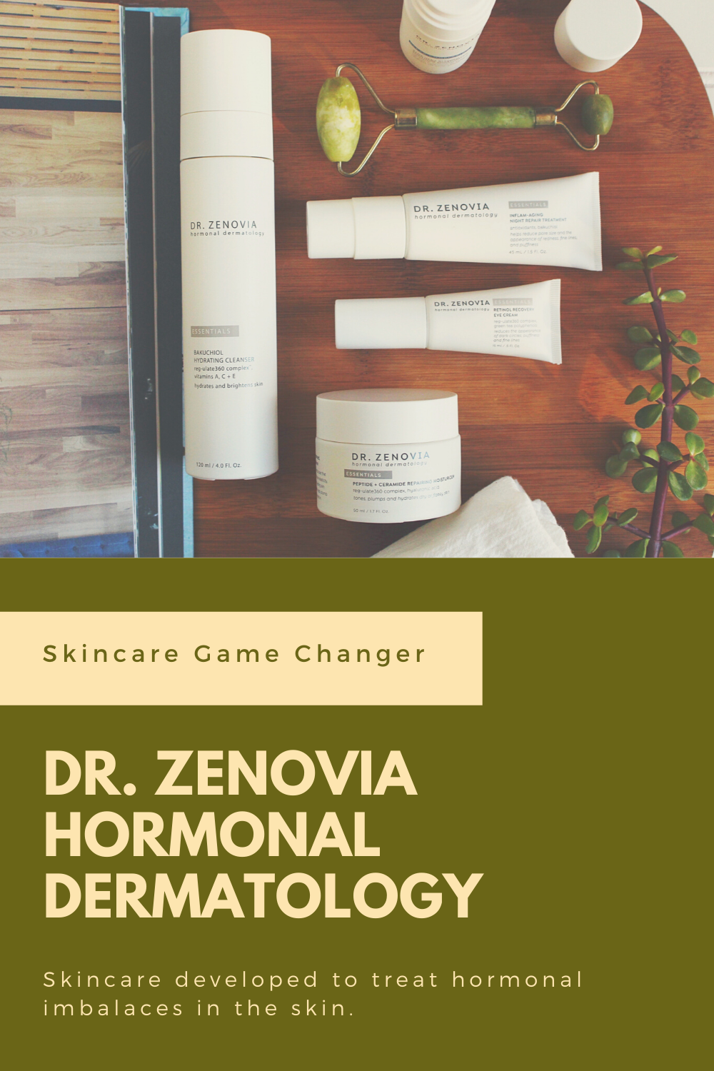 Dr. Zenovia